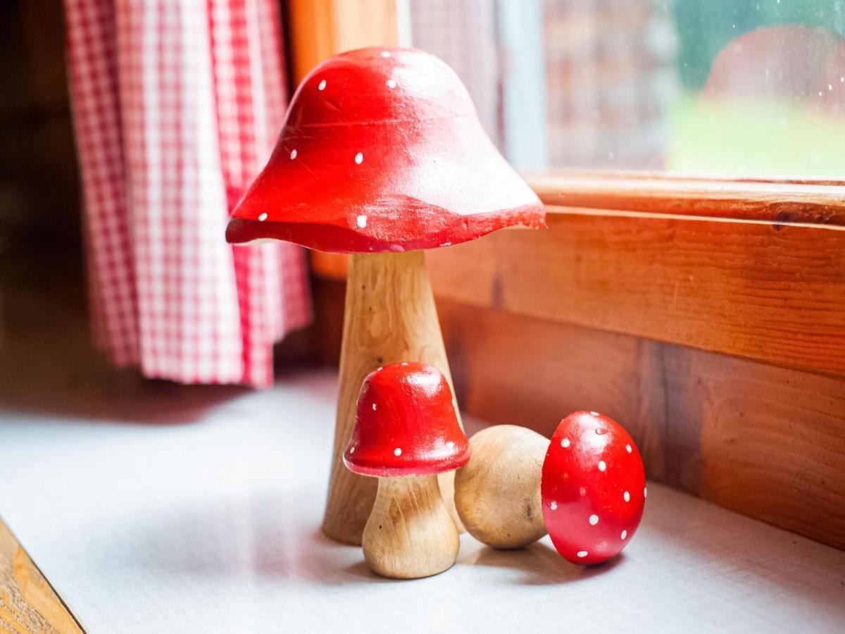 Vintage Holiday Home In Vorarlberg Near Ski Area ชวาร์สเซนแบร์ก อิม เบรเกนซ์แอร์วัลด์ ภายนอก รูปภาพ